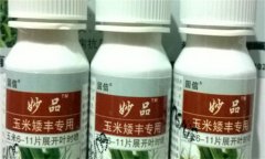 玉米矮化藥的成分 玉米矮化藥藥害的表現(xiàn)是什么