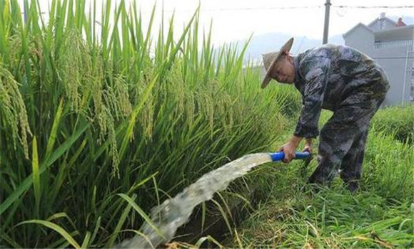 科學(xué)管水、防止早衰