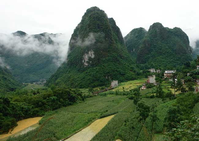 農(nóng)村致富項目有哪些