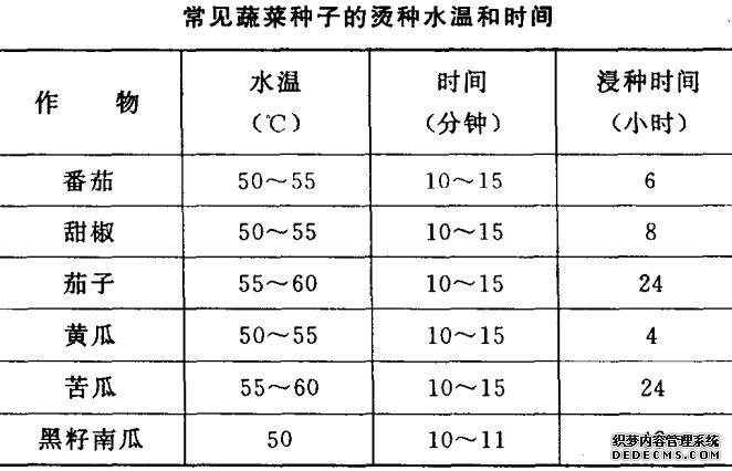 蔬菜種植