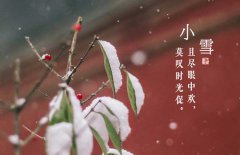 小雪節(jié)氣是什么意思，小雪節(jié)氣吃什么食品？