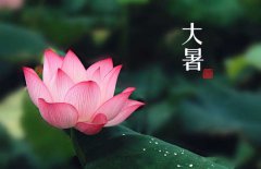 大暑是幾月幾日，大暑的節(jié)日民俗的哪些？