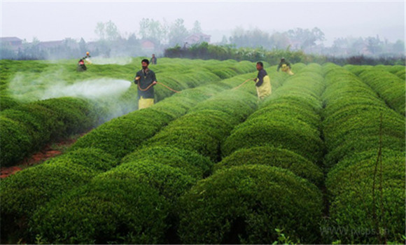 農業(yè)種植技術