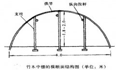 塑料中棚加外覆蓋能明顯使蔬菜早熟，效益高