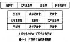 退化竹林塊狀更新改造方法