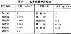 仙客來(lái)無(wú)土栽培技術(shù)須知