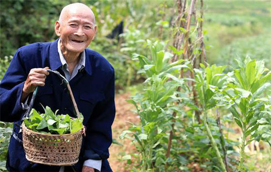 蔬菜具有某種特效成功能