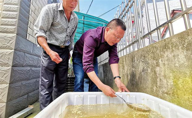 溫湯浸種的初始溫度是多少