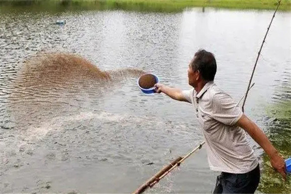 怎樣給魚(yú)體消毒