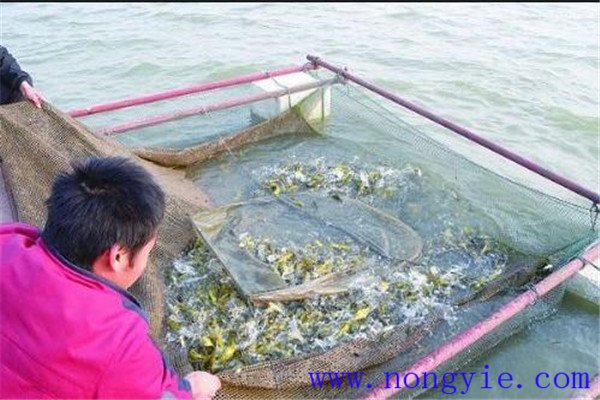 食場的消毒