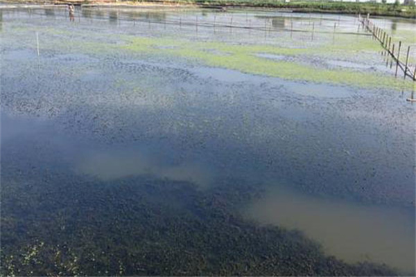 增加溶氧，促進(jìn)有機(jī)物氧化分解