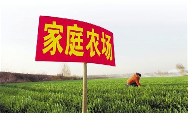 家庭農(nóng)場要通過實現(xiàn)專業(yè)化生產(chǎn)