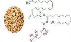 大豆異黃酮對人體有什么好處 什么食物含量多？