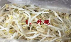 如何挑選豆芽？有根豆芽與無根豆芽有什么區(qū)別